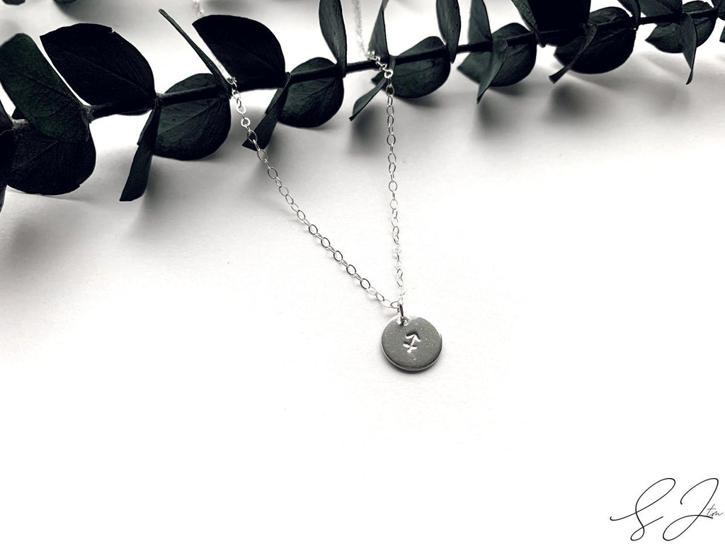The Horoscope Disc Necklace